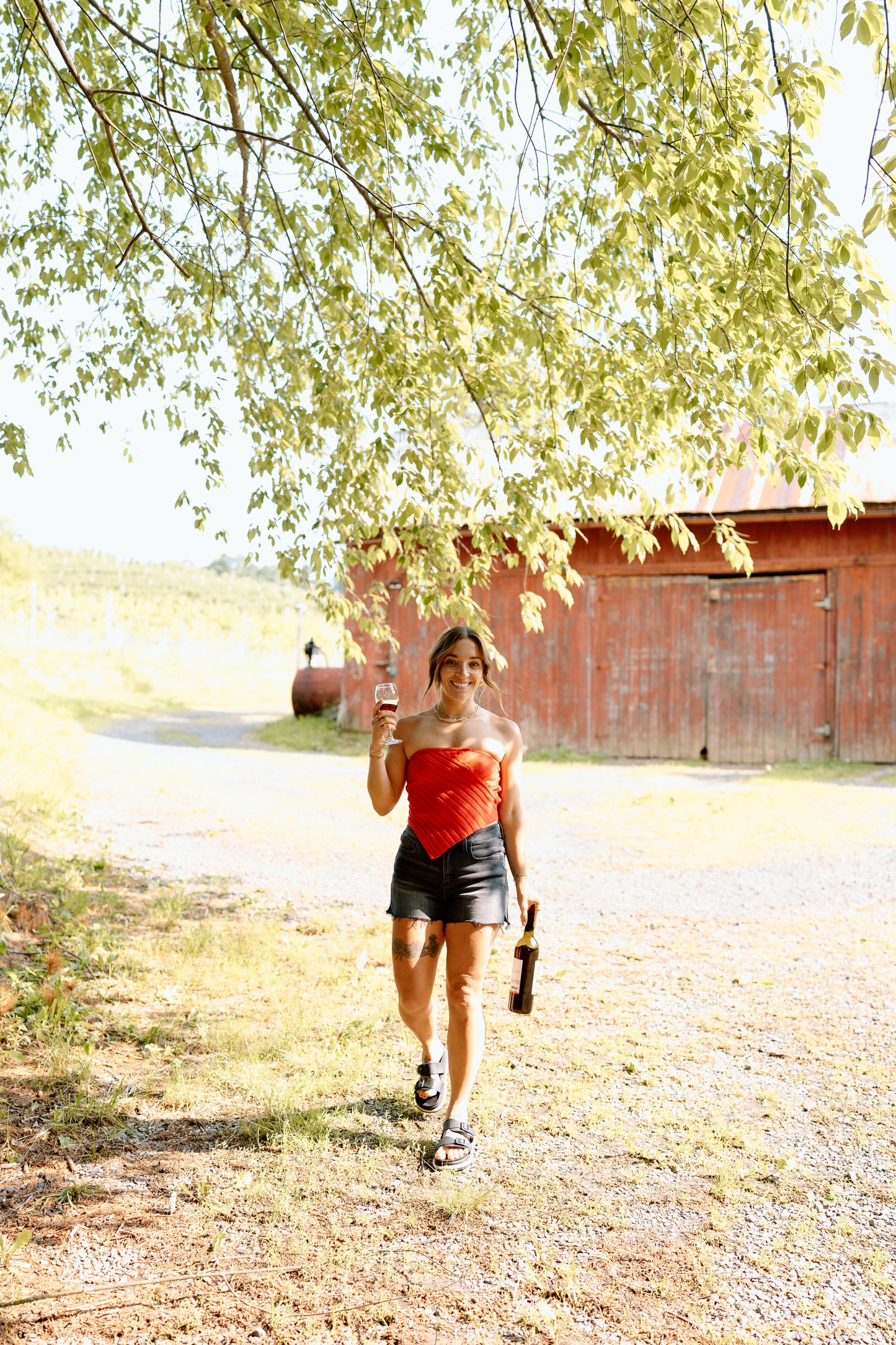 Stella Shorts