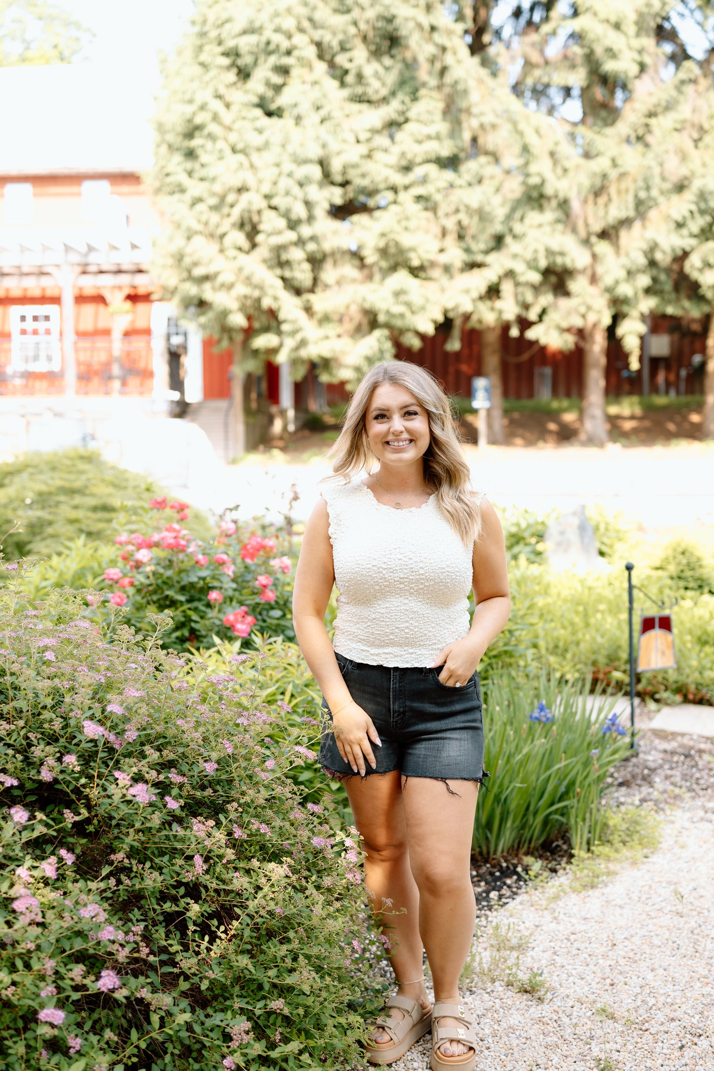 Stella Shorts