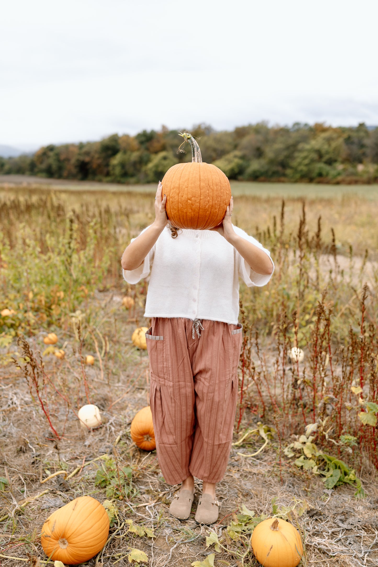 Mason Pant