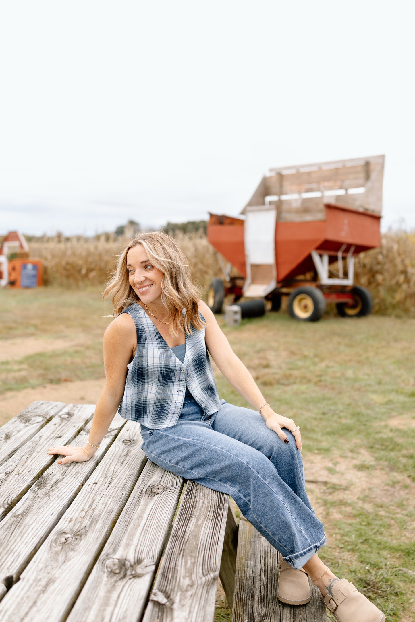 Wren Plaid Button Up Vest