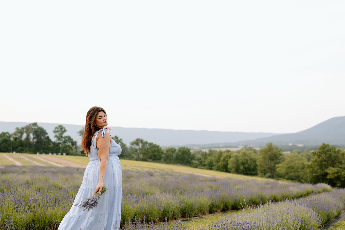 Shae Midi Dress