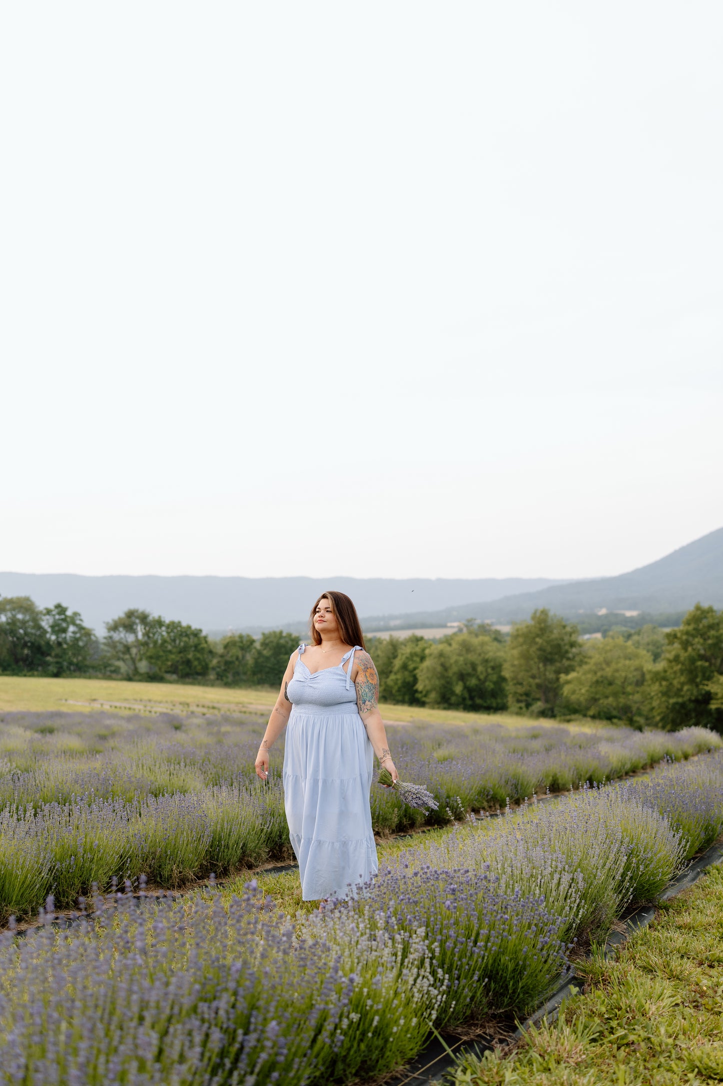 Shae Midi Dress
