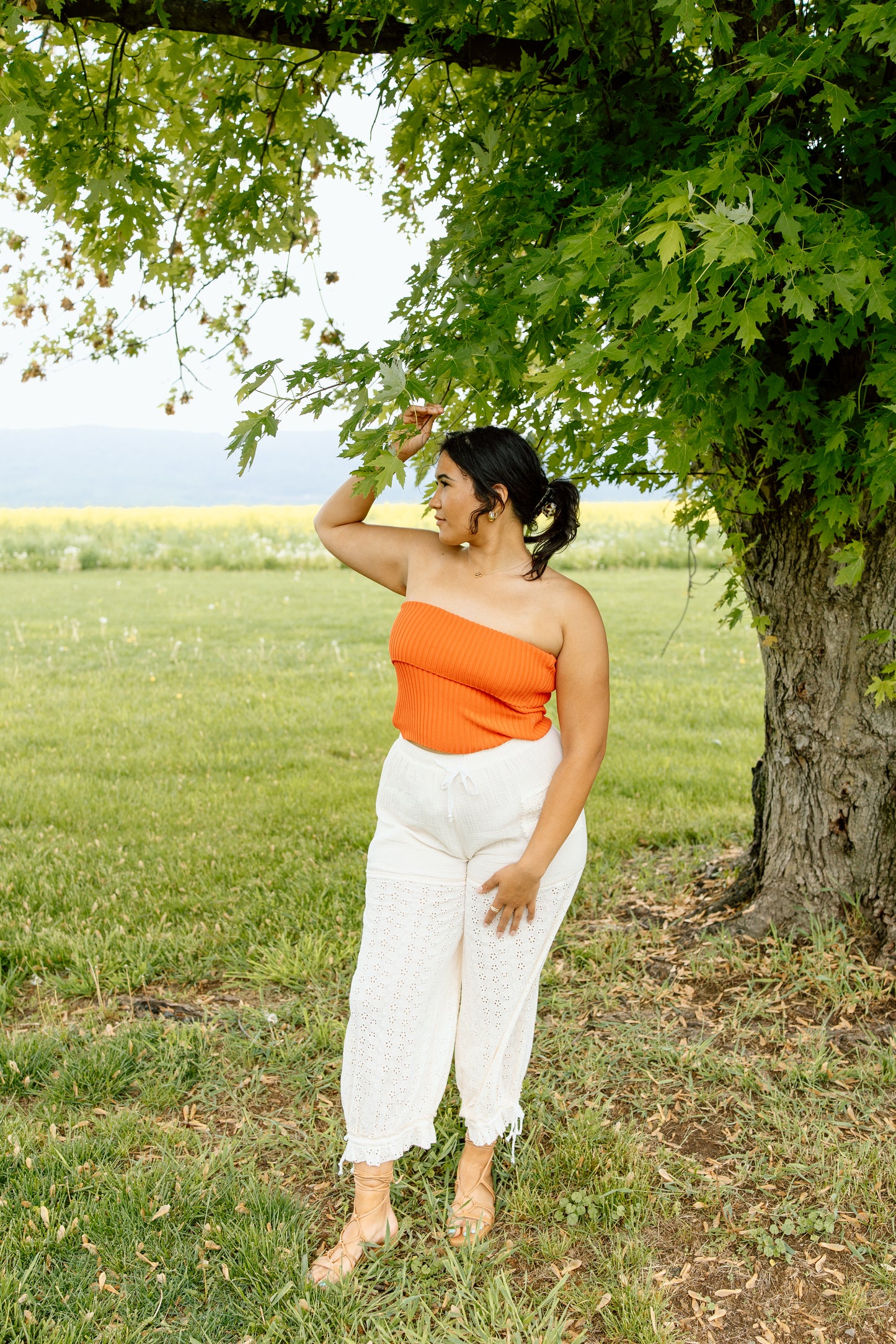 Cove Lace Gauze Pant